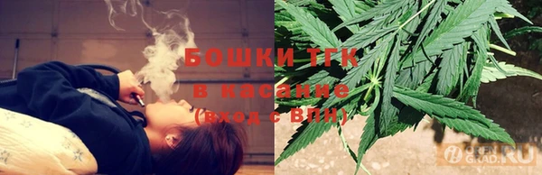 индика Коряжма