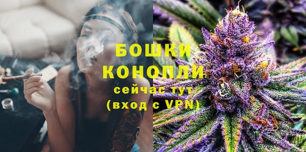 индика Коряжма
