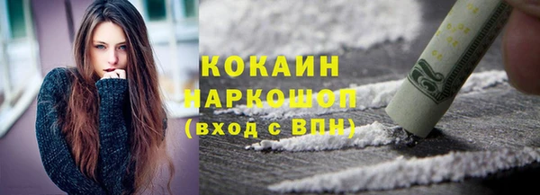 стаф Корсаков