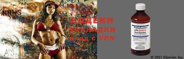 стаф Корсаков
