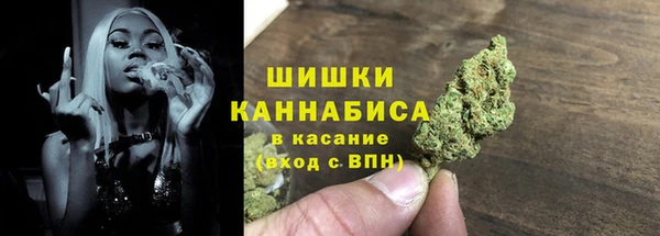 стаф Корсаков