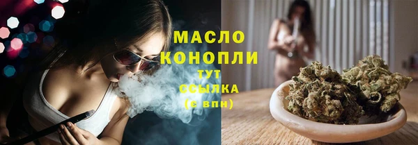 индика Коряжма