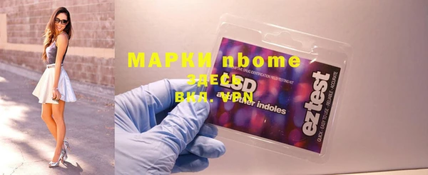 индика Коряжма