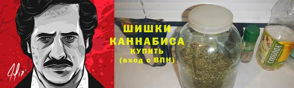 стаф Корсаков