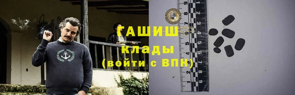 индика Коряжма