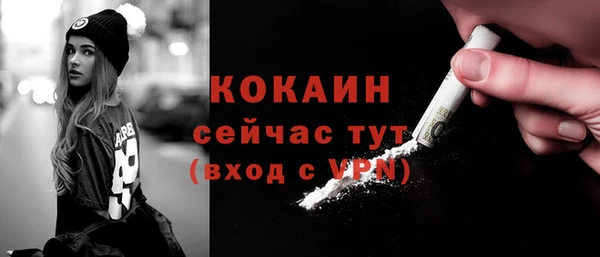 стаф Корсаков