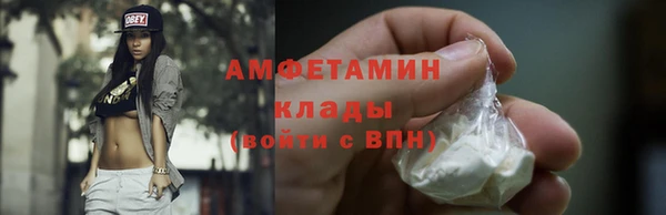 стаф Корсаков