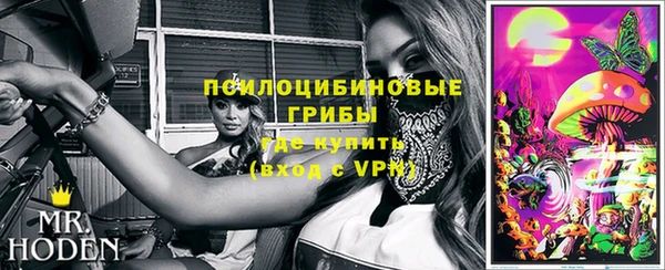 стаф Корсаков