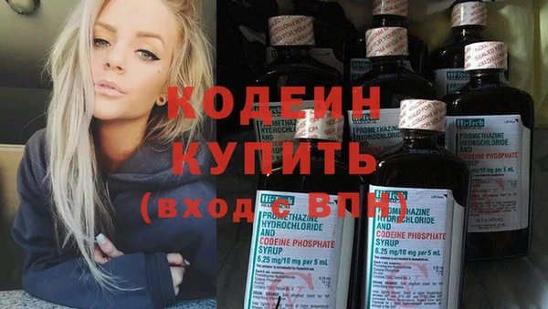 индика Коряжма