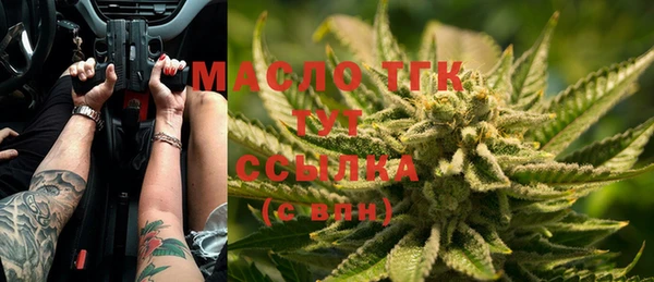 индика Коряжма