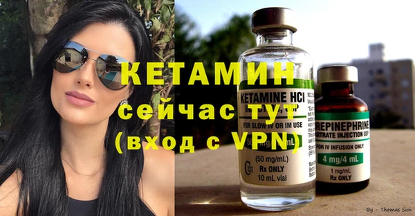 стаф Корсаков