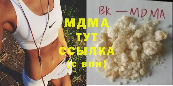 стаф Корсаков